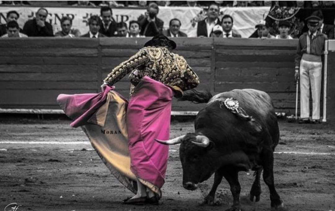 El lenguaje del toreo: términos que todo aficionado debe conocer