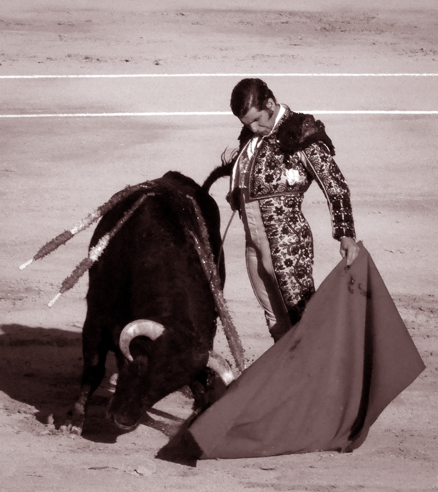 Morante de la Puebla | Arte, Genio y Tauromaquia