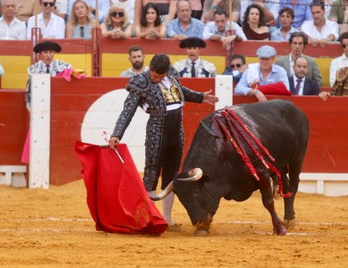 Morante Alicante 26